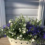 Breeze * Pärnu